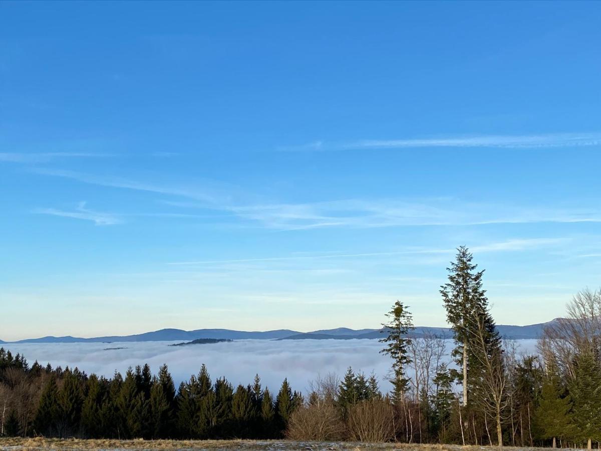 Uriges Top-Apartment Im Bayerischen Wald 3Br! +Netflix Schöfweg 외부 사진
